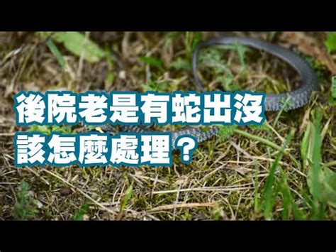 防止蛇進入|公告訊息